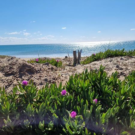 207 Cap D'Agde Naturiste Grand T2 De Standing Avec Garage エクステリア 写真